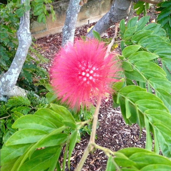 Meet your Posher, Jo - Picture 2 of 6